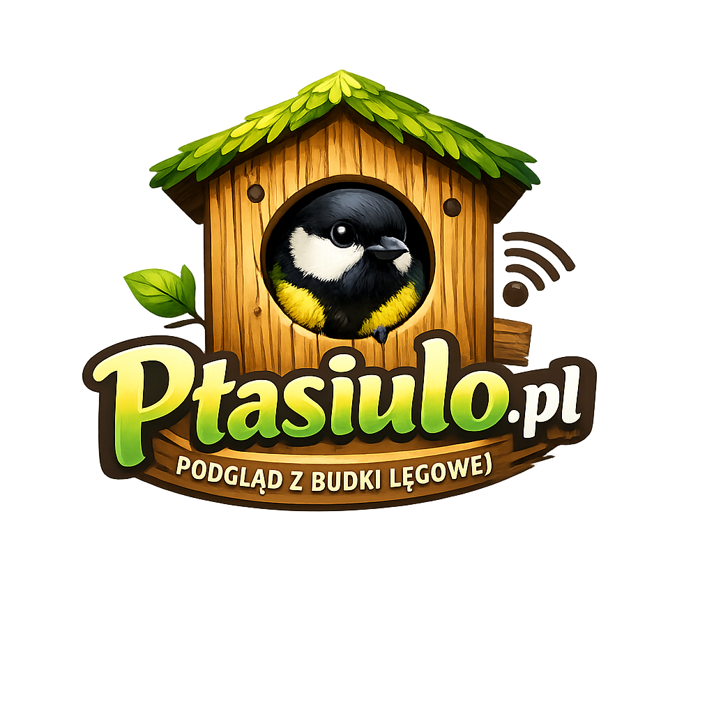 Ptasiulo.pl
